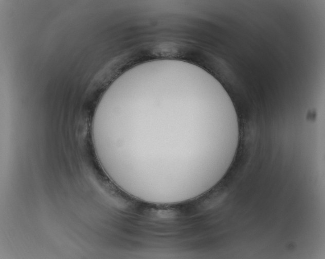 X0000110710645200907022024