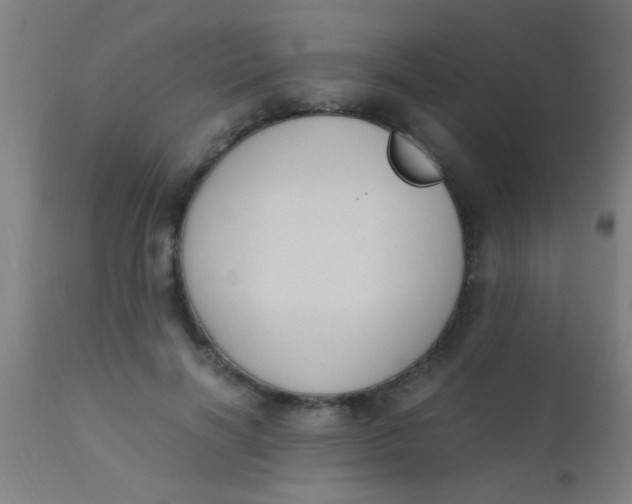 X0000110710646200907022024