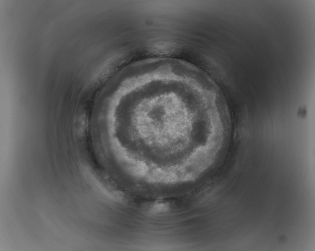 X0000110710647200907022024