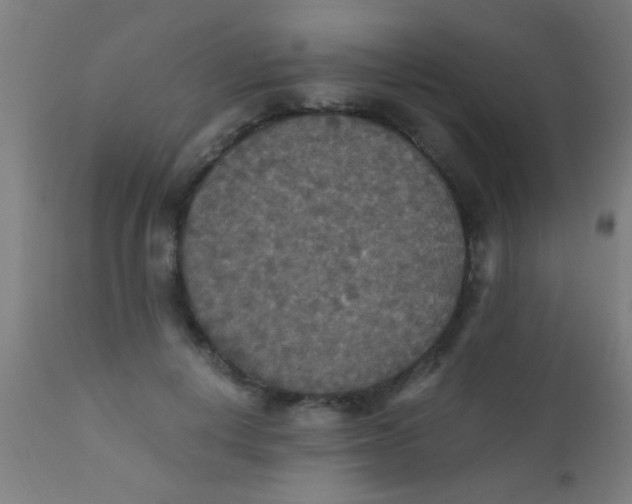 X0000110710648200907022024
