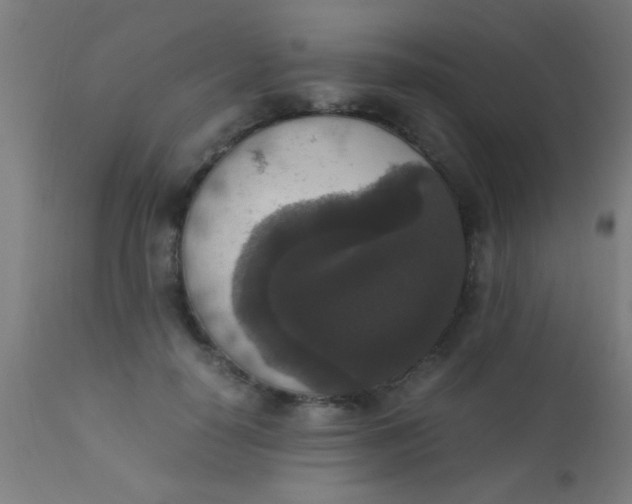 X0000110710650200907022024
