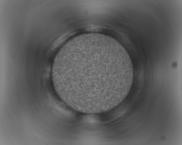 X0000110710652200907022024