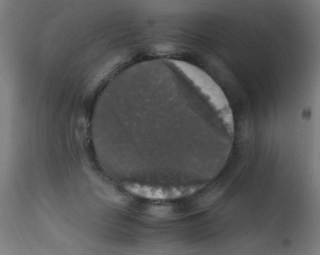 X0000110710653200907022024