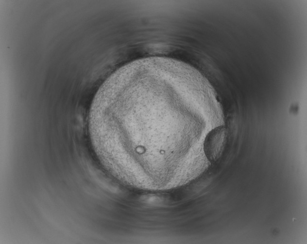 X0000110710655200907022024