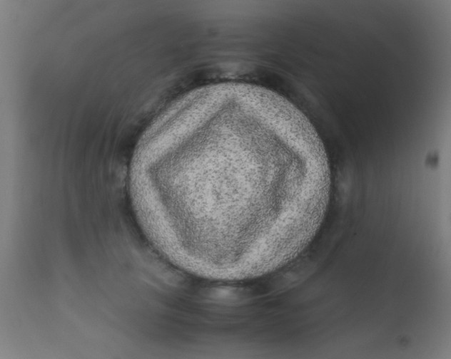 X0000110710657200907022024