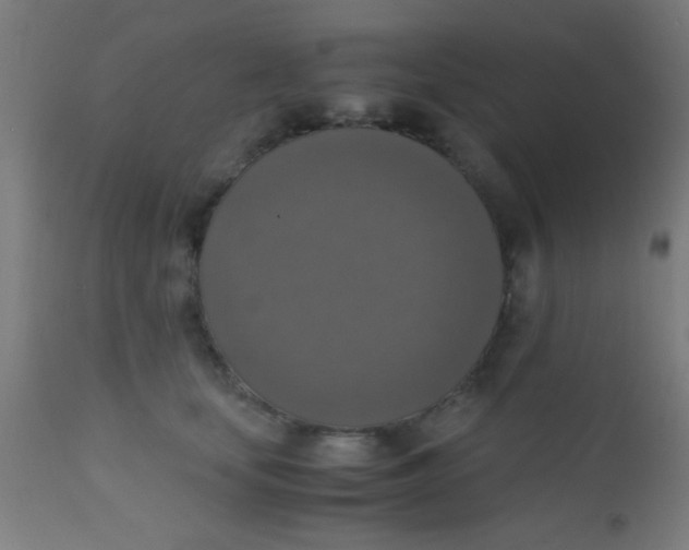 X0000110710659200907022024