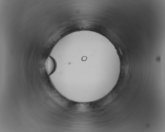 X0000110710660200907022024