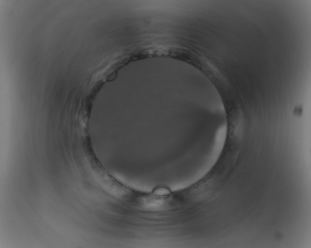 X0000110710661200907022024