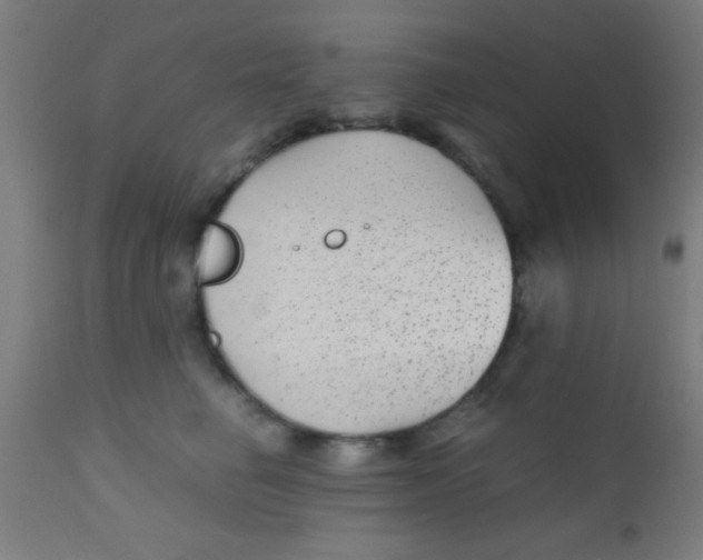 X0000110710662200907022024
