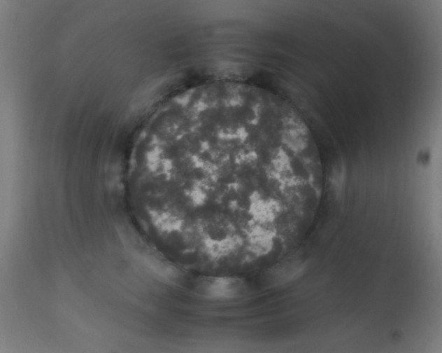X0000110710663200907022024