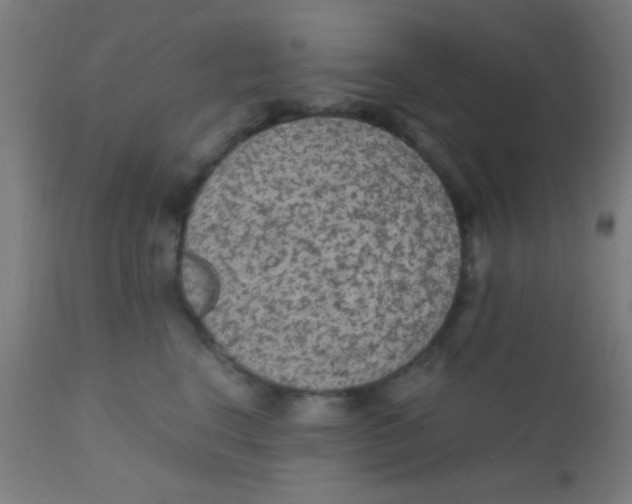X0000110710664200907022024