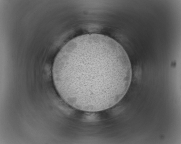 X0000110710667200907022024