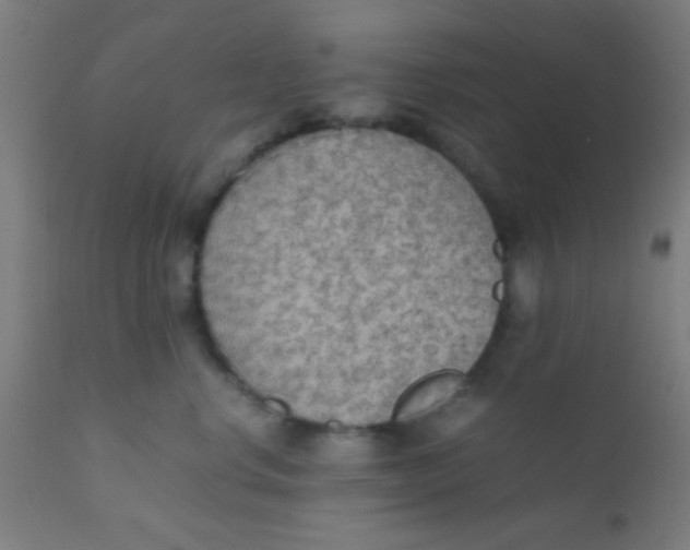 X0000110710668200907022024