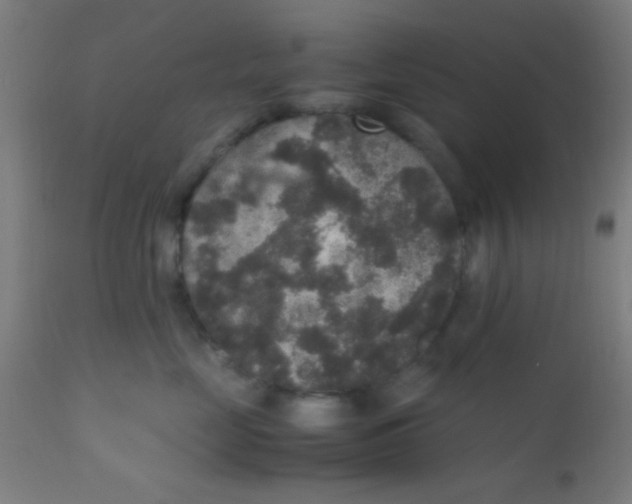 X0000110710669200907022024