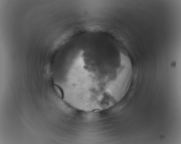 X0000110710670200907022024