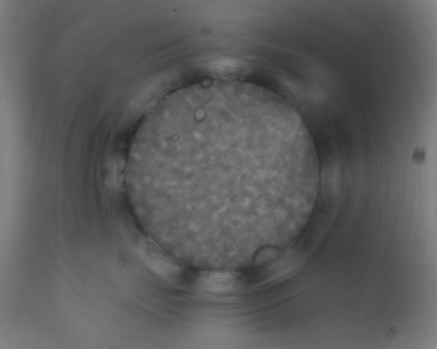 X0000110710671200907022024