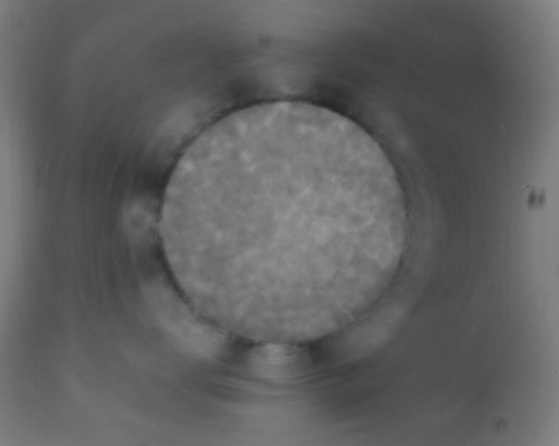 X0000110710672200907022024