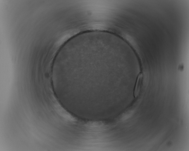 X0000110710673200907022023