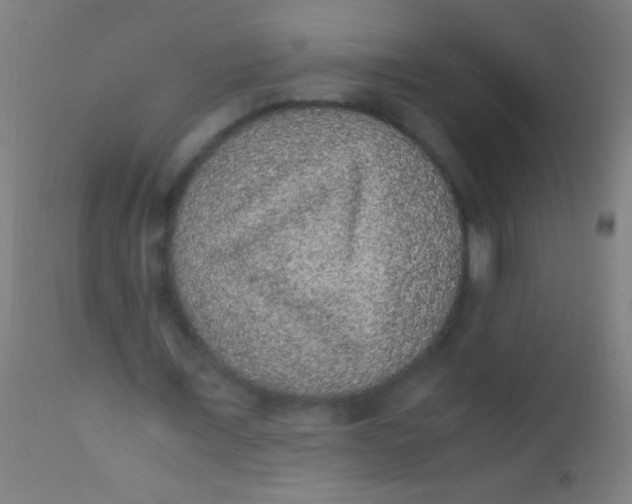 X0000110710675200907022023