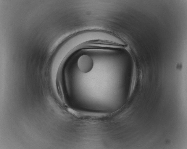 X0000110710676200907022023