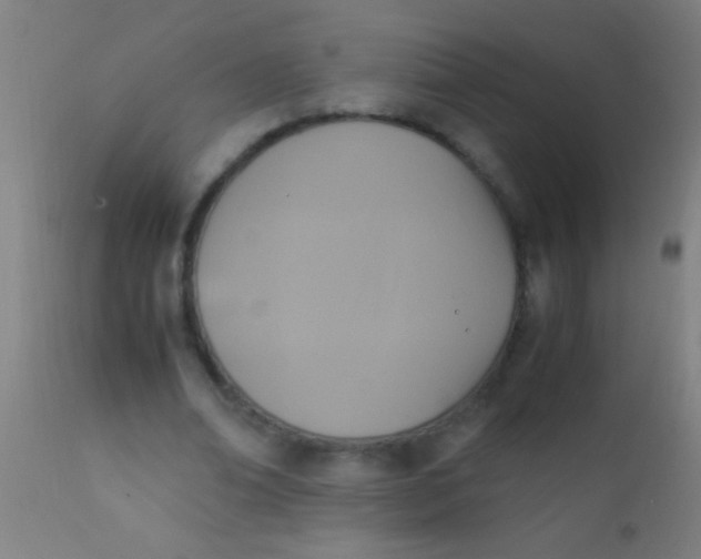 X0000110710678200907022023