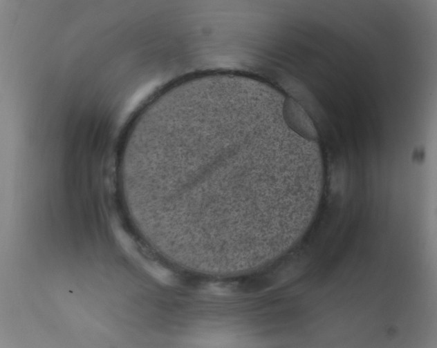 X0000110710680200907022023
