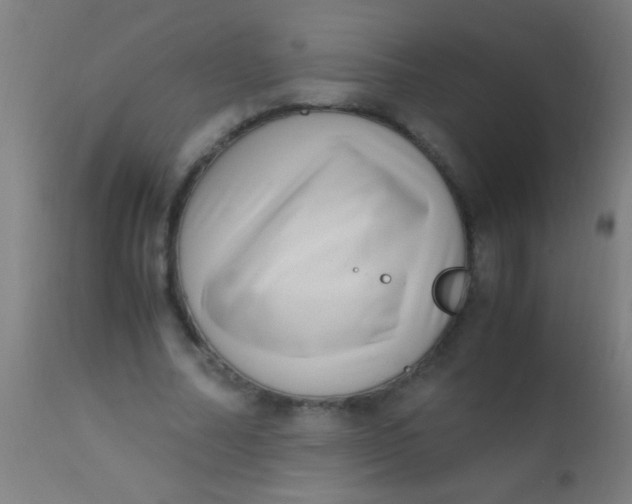X0000110710682200907022023