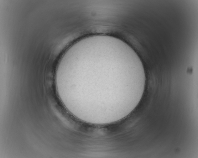 X0000110710683200907022023