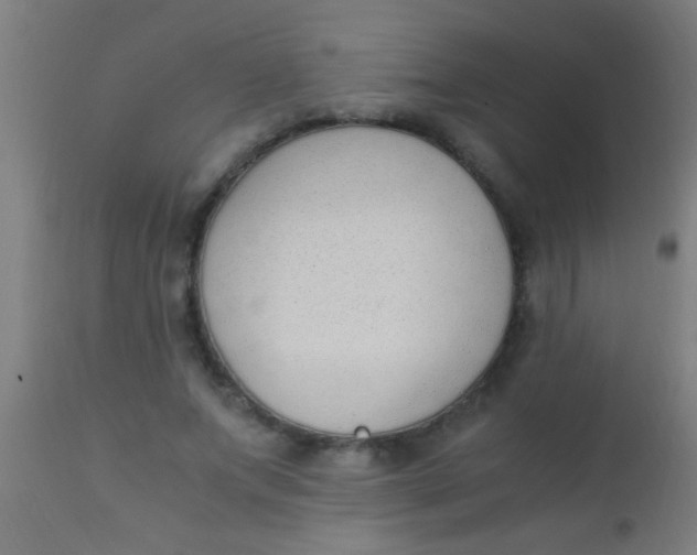 X0000110710687200907022023