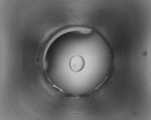 X0000110710688200907022023