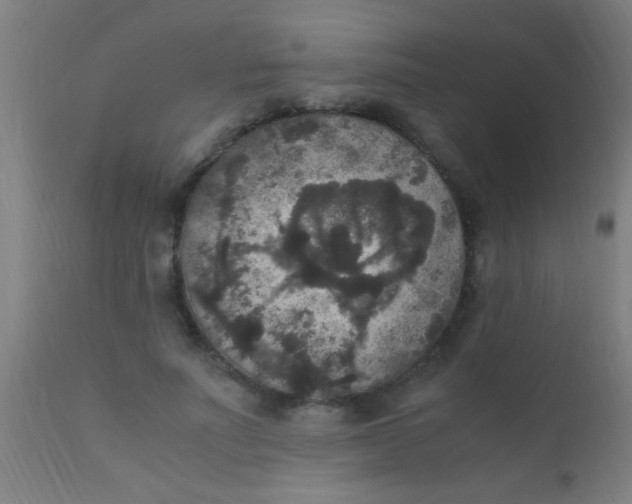 X0000110710691200907022023