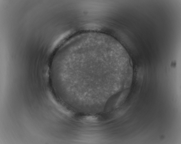 X0000110710692200907022023