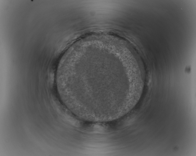 X0000110710697200907022023