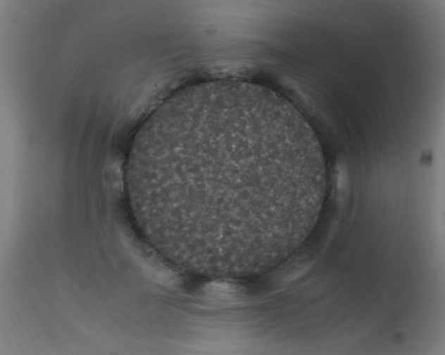 X0000110710699200907022023