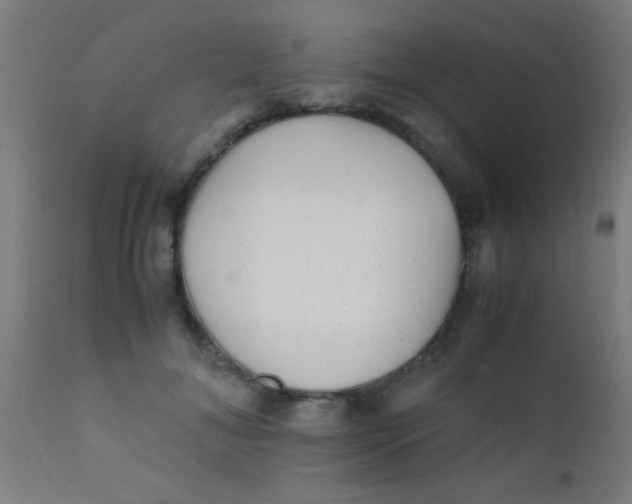 X0000110710700200907022023
