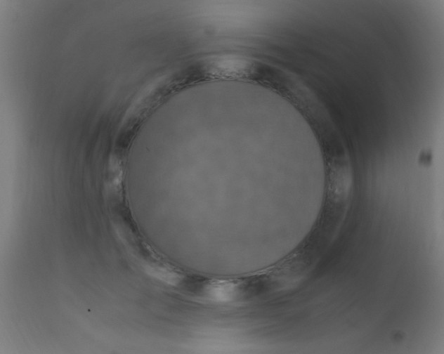 X0000110710701200907022023