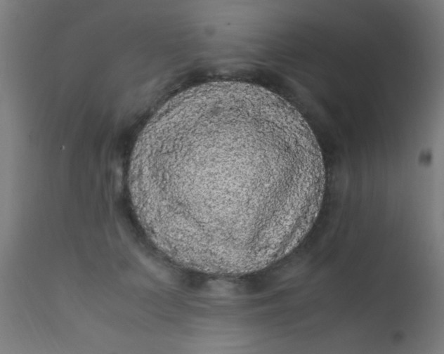 X0000110710703200907022023