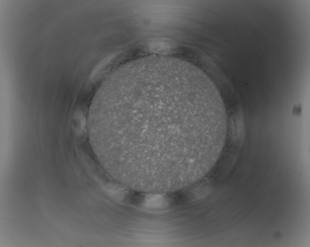 X0000110710705200907022023