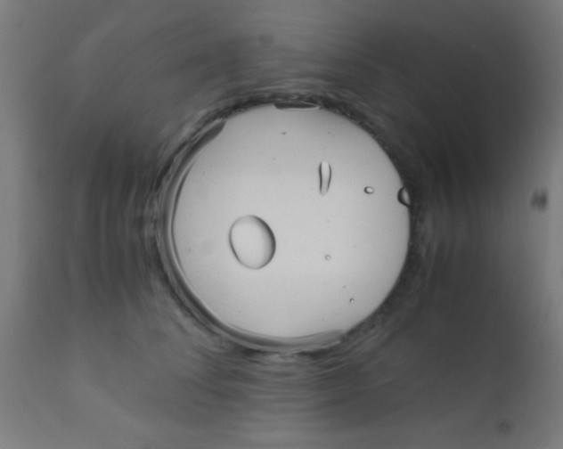 X0000110710708200907022023