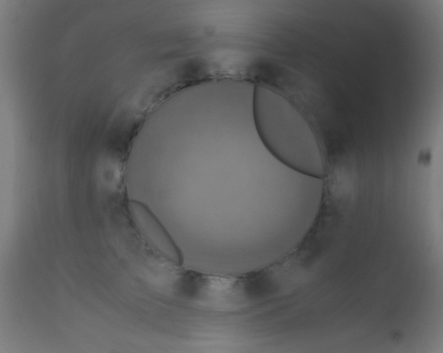 X0000110710709200907022023