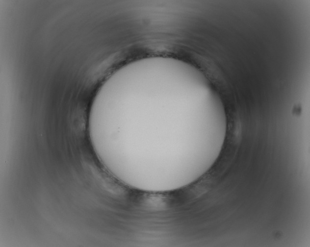 X0000110710710200907022023