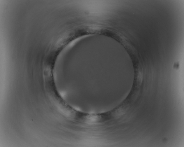 X0000110710711200907022023