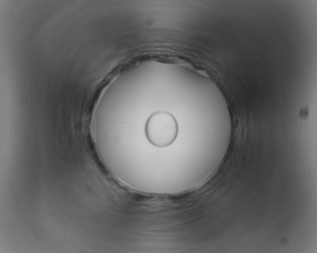 X0000110710712200907022023