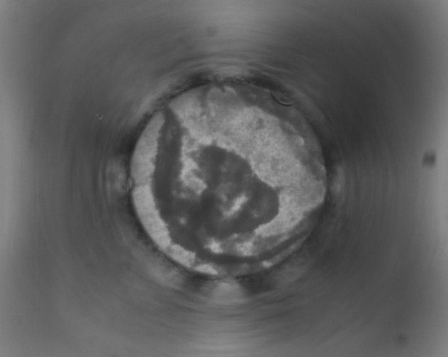 X0000110710715200907022023
