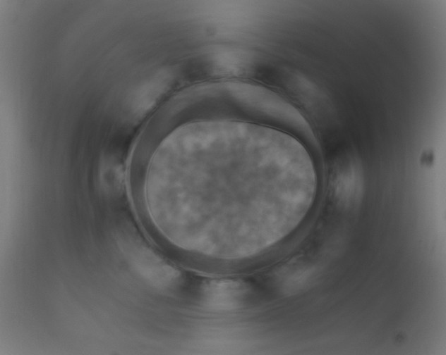 X0000110710716200907022023