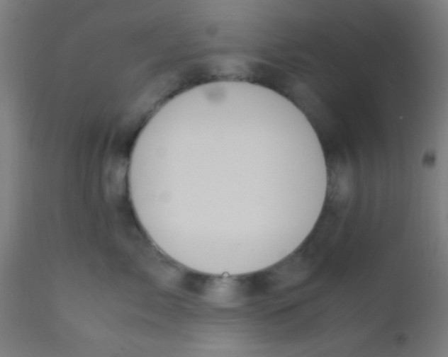 X0000110710717200907022023