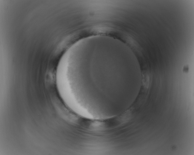 X0000110710718200907022023