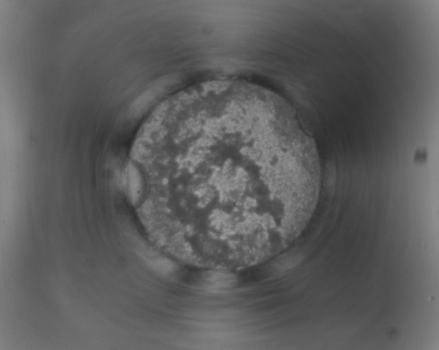 X0000110710719200907022023