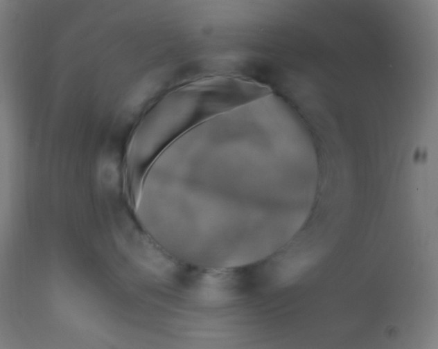 X0000110710720200907022023