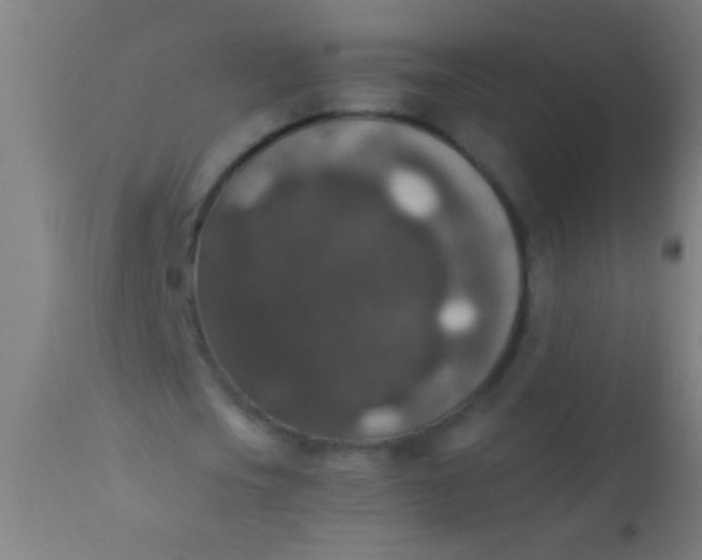 X0000110710721200907022022